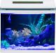 5 Gallon Fish Tank Glass Self Cleaning Small Aquarium Starter Kits Desktop Room
